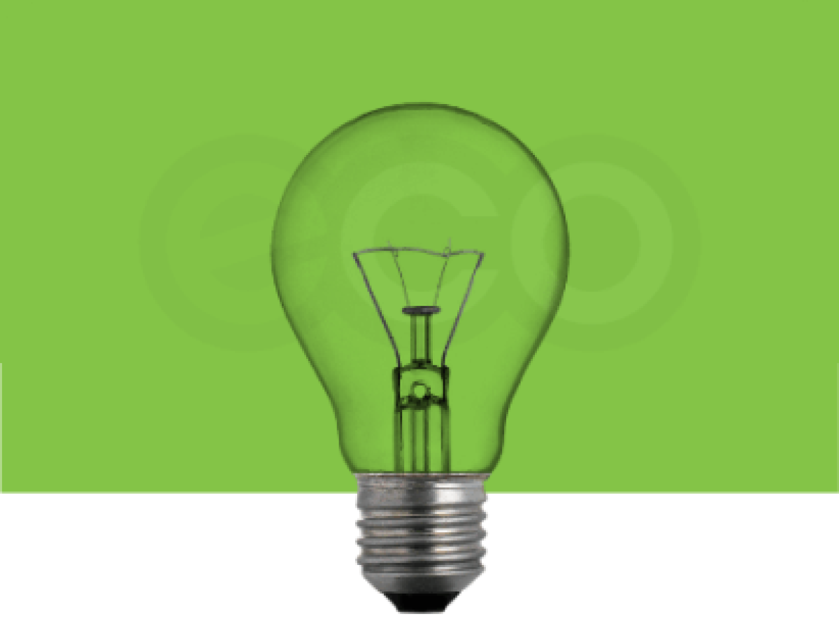 bulb image represents the eco electric services